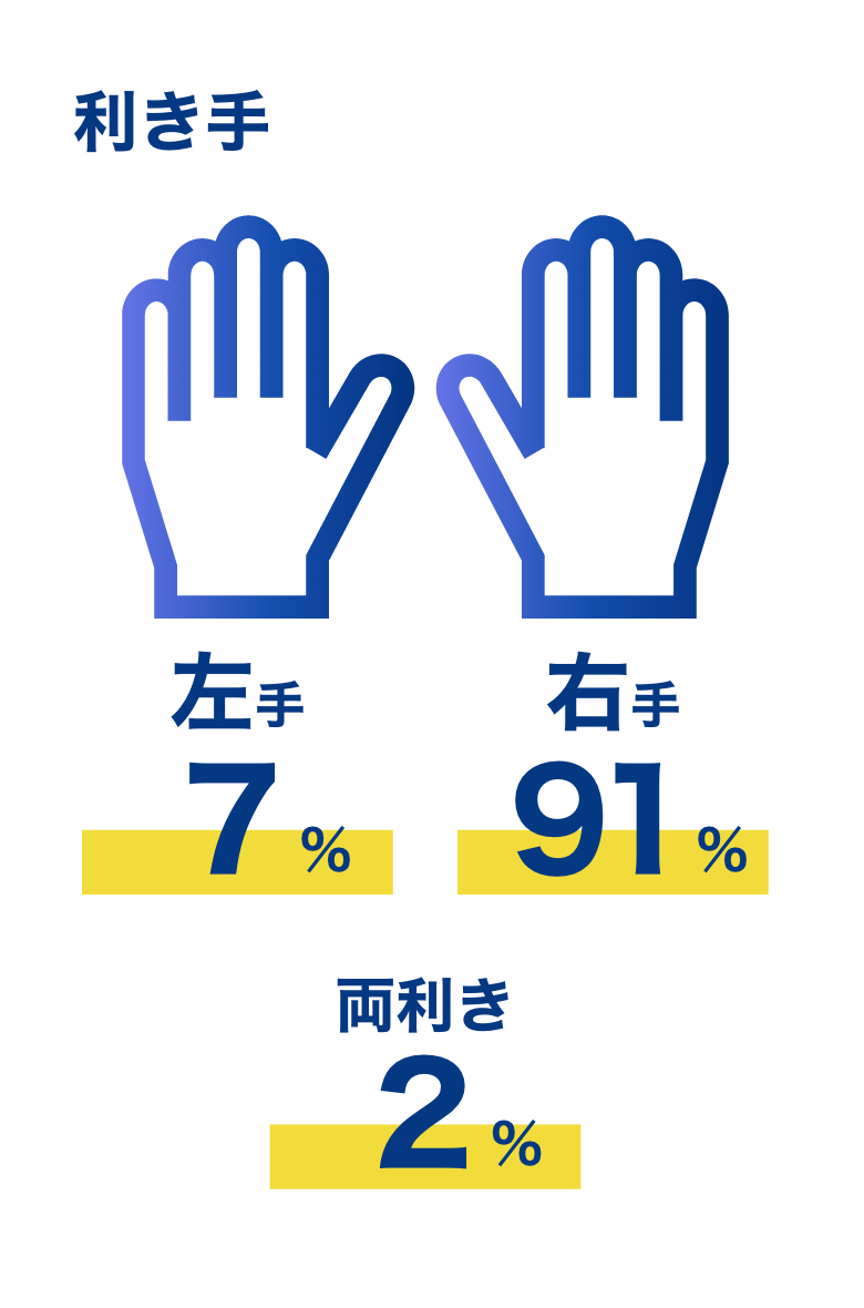 数字で見る会社情報利き手